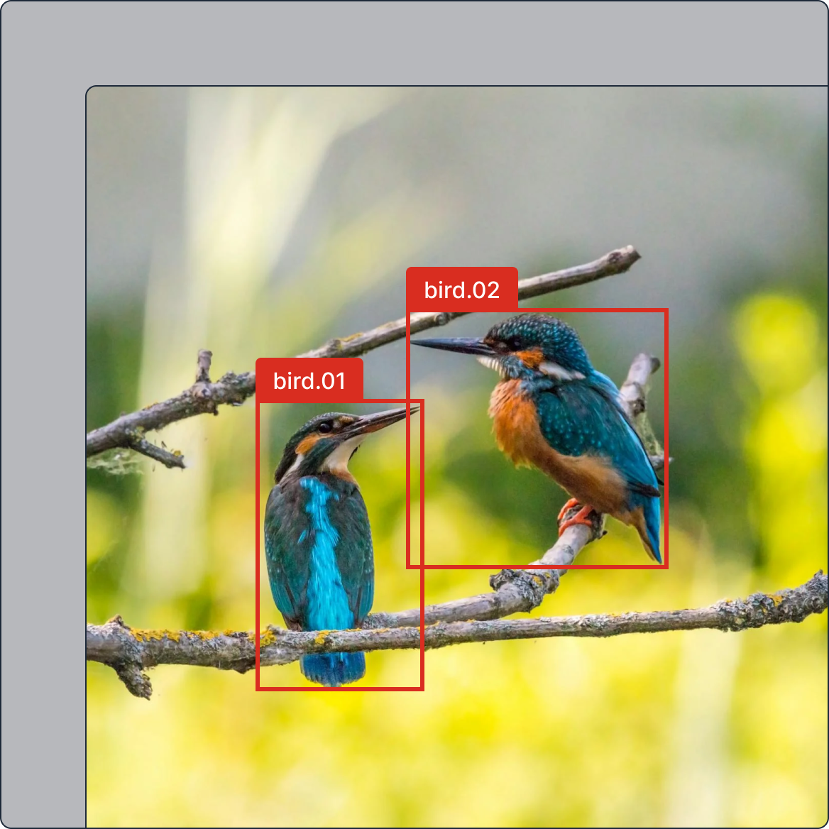 bounding-box